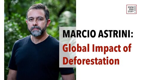 The Amazon Rainforest Is Disappearing - What can be done?