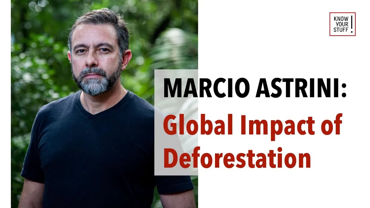 The Amazon Rainforest Is Disappearing - What can be done?
