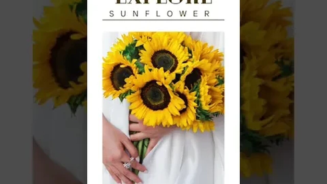 Explore Sunflower - Home Gardening 10 October 2023