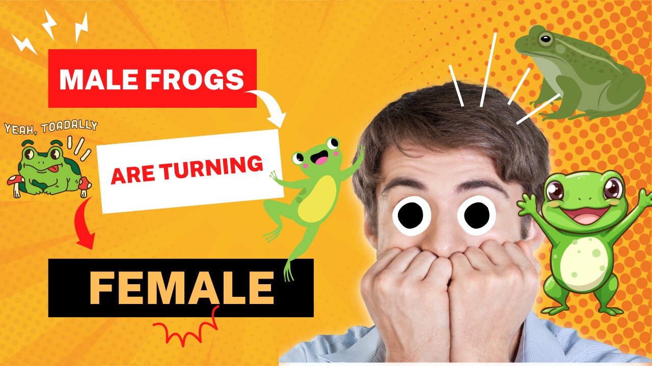 Male Frogs Are Turning Female