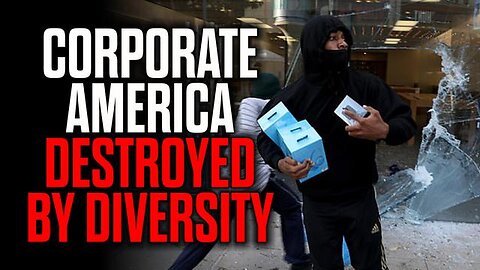 CORPORATE AMERICA DESTROYED BY DIVERSITY