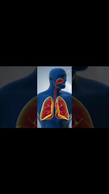 This Juice Can Help Recover Your Lungs and Eliminate Inflammation #shorts