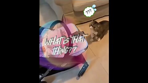 she wonders !! what baby is😅
