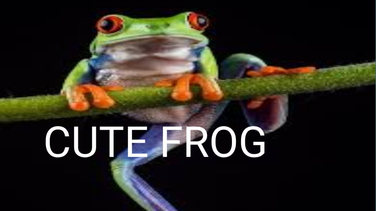 Cute Frog Compilation 2022।