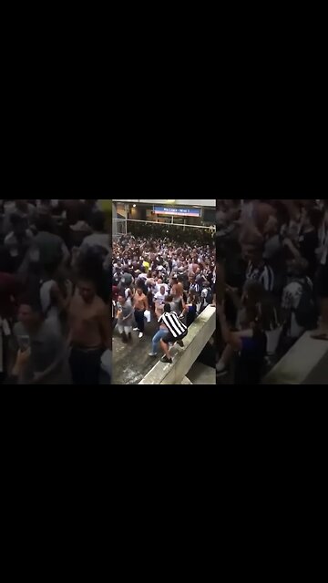 ESSE VÍDEO JAMAIS MORRERÁ! #botafogo #brasileirão #segueolíder