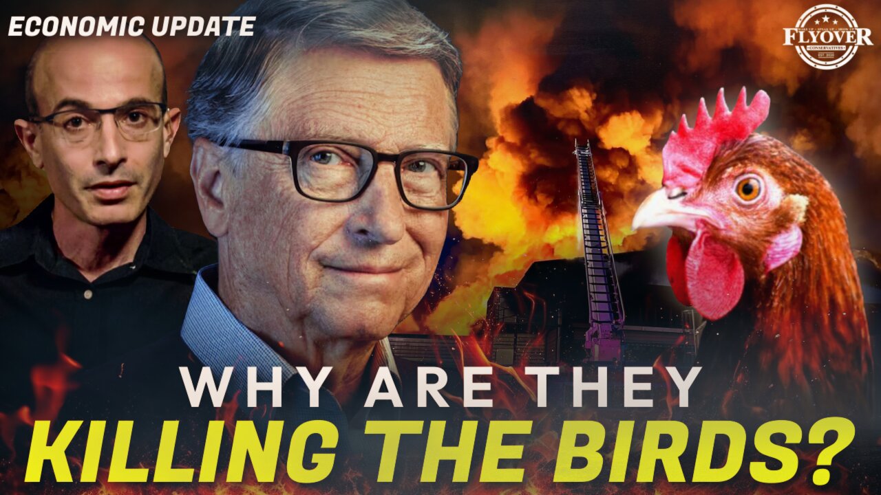 ECONOMY | Why are They Trying to KILL ALL the Birds? What are the Economic Consequences of the Chic