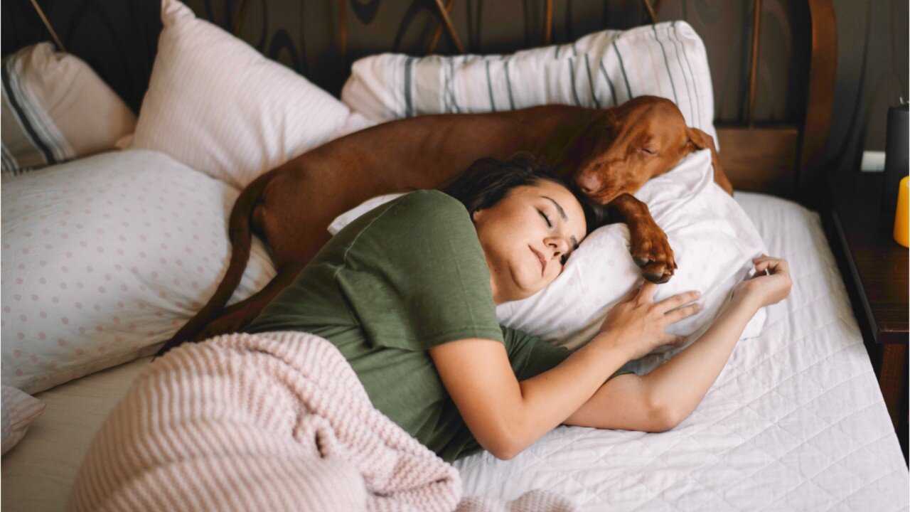 Study shows women sleep better next to dogs than their partners