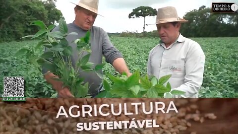 Agricultor do Paraná produz mais com SH-24 da Lottus Biosolucões