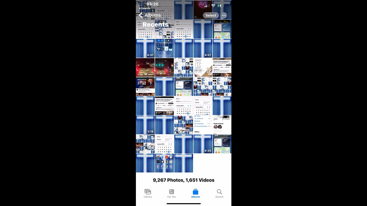 🎼🦁❤️❤️8❤️❤️🦁🎼