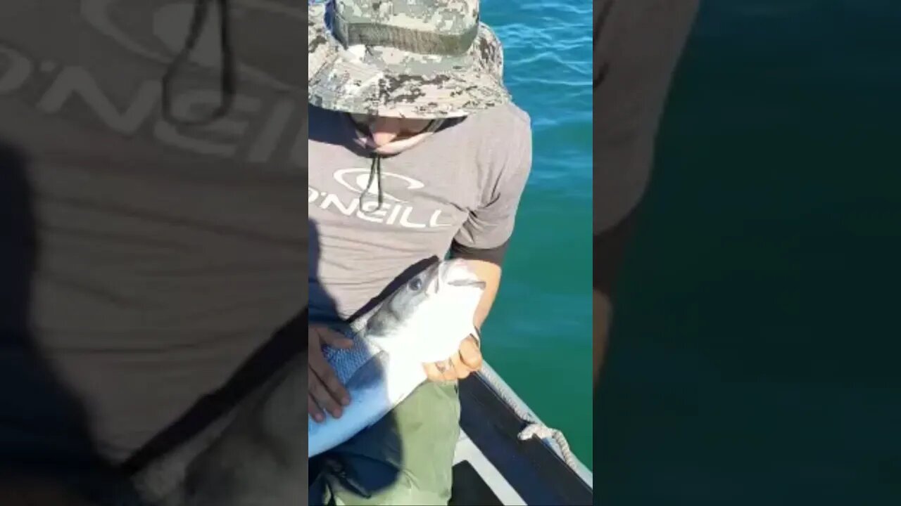 احنا نسميوه بوشاوك او نتوما اشنو كتسميوه مع ذكر المنطقة او البلد 🎣🎣🐟🐟