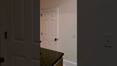 video tour 162 N. Shelmore 1/20/2021