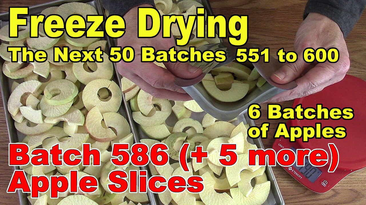 Freeze Drying - The Next 50 Batches - 6 Batches of Apples 586 - 589, 593, 596