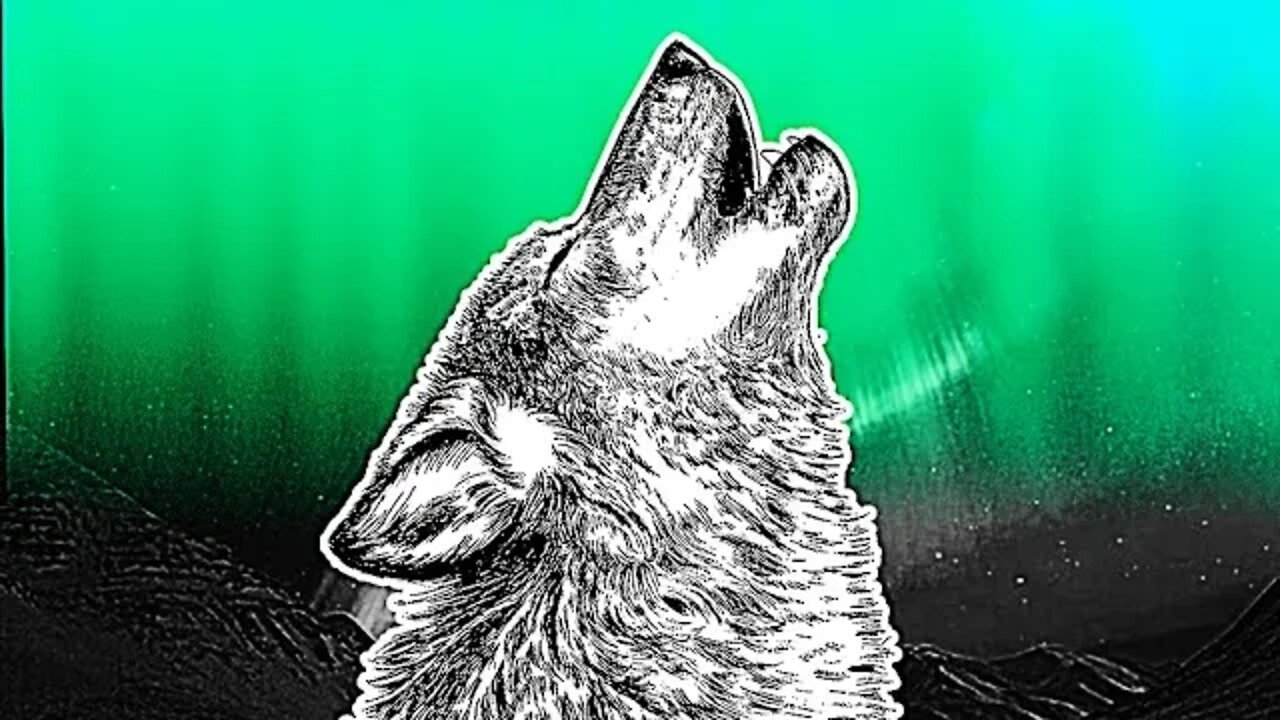 Northern Lights ➤ ВЫЖИВАЕМ В СУРОВЫХ ЗИМНИХ УСЛОВИЯХ СЕВЕРА #YoSquad