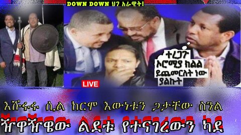 እሹሩሩ ሲል ከርሞ እውነቱን ጋታቸው ስንል