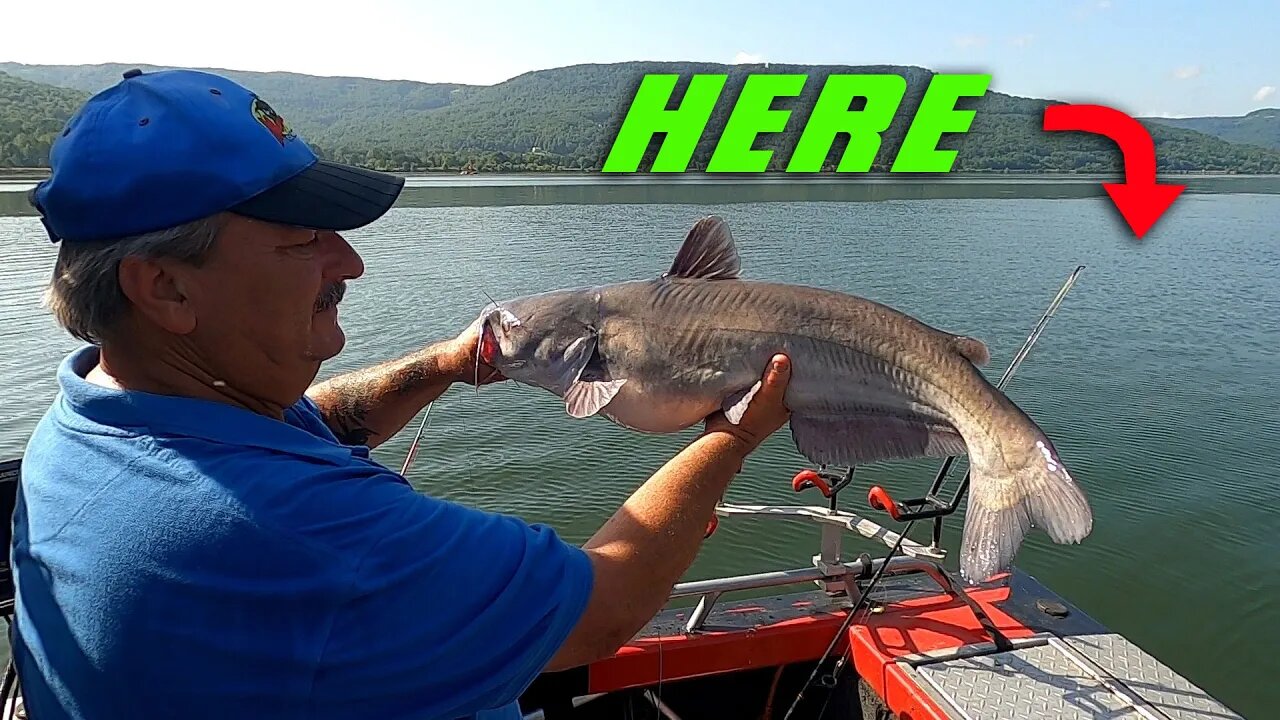 How to catch catfish in the middle of Nowhere, Ledge fishing for catfish