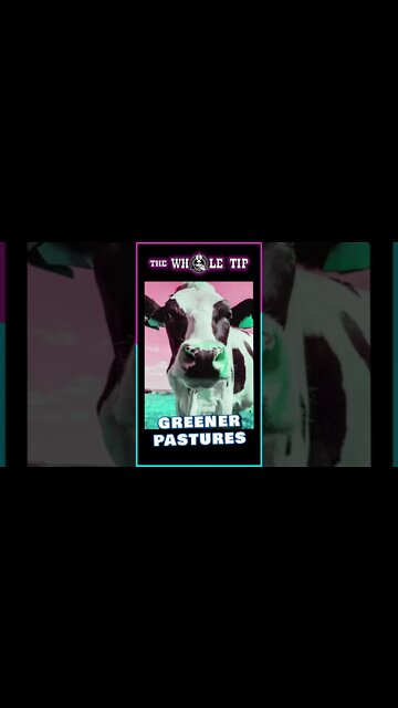 GREEN ACRES - the Whole Tip - metaverse virtual reality vr #shorts #short