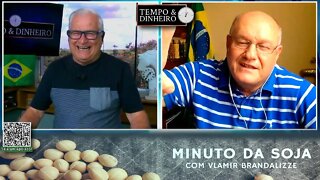 Arroz com colheita avançada e cotações firmes - Feijão escasso e em alta
