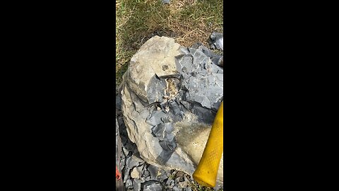 Septarian, nodule with calcite