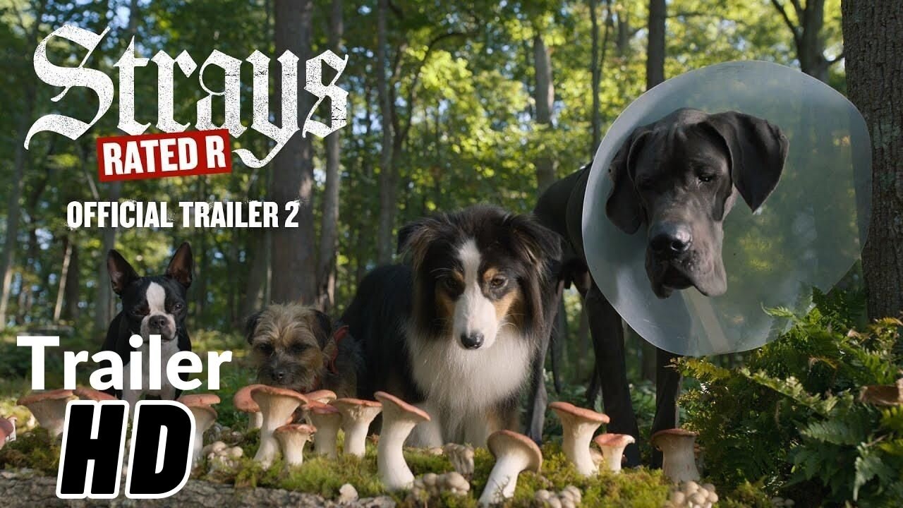 STRAYS Trailer 2 (NEW, 2023) Isla Fisher, Will Ferrell, Jamie Foxx, Comedy Movie