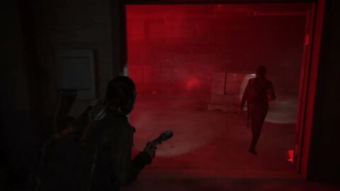 The Last of Us 2 New Game+ Part 17