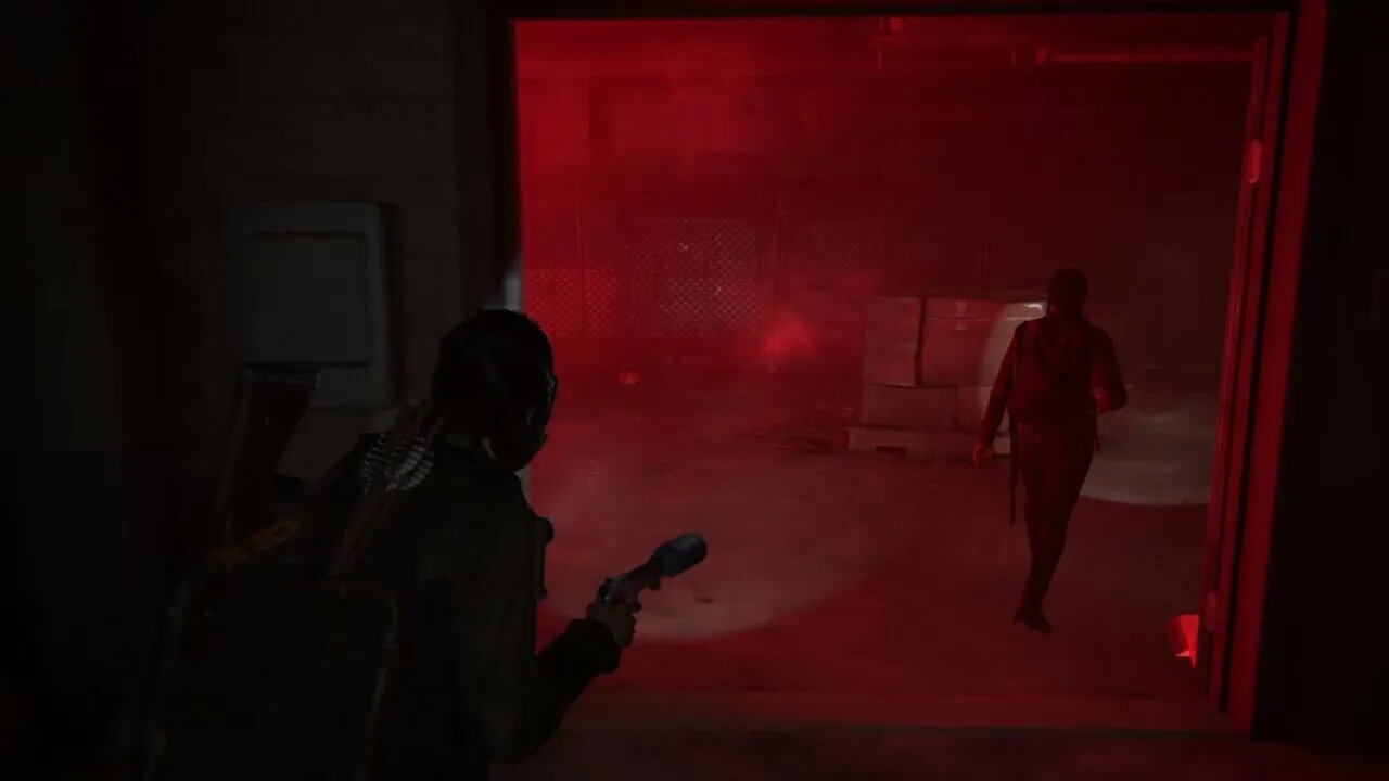 The Last of Us 2 New Game+ Part 17