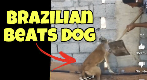 Brazilian beats dog ?