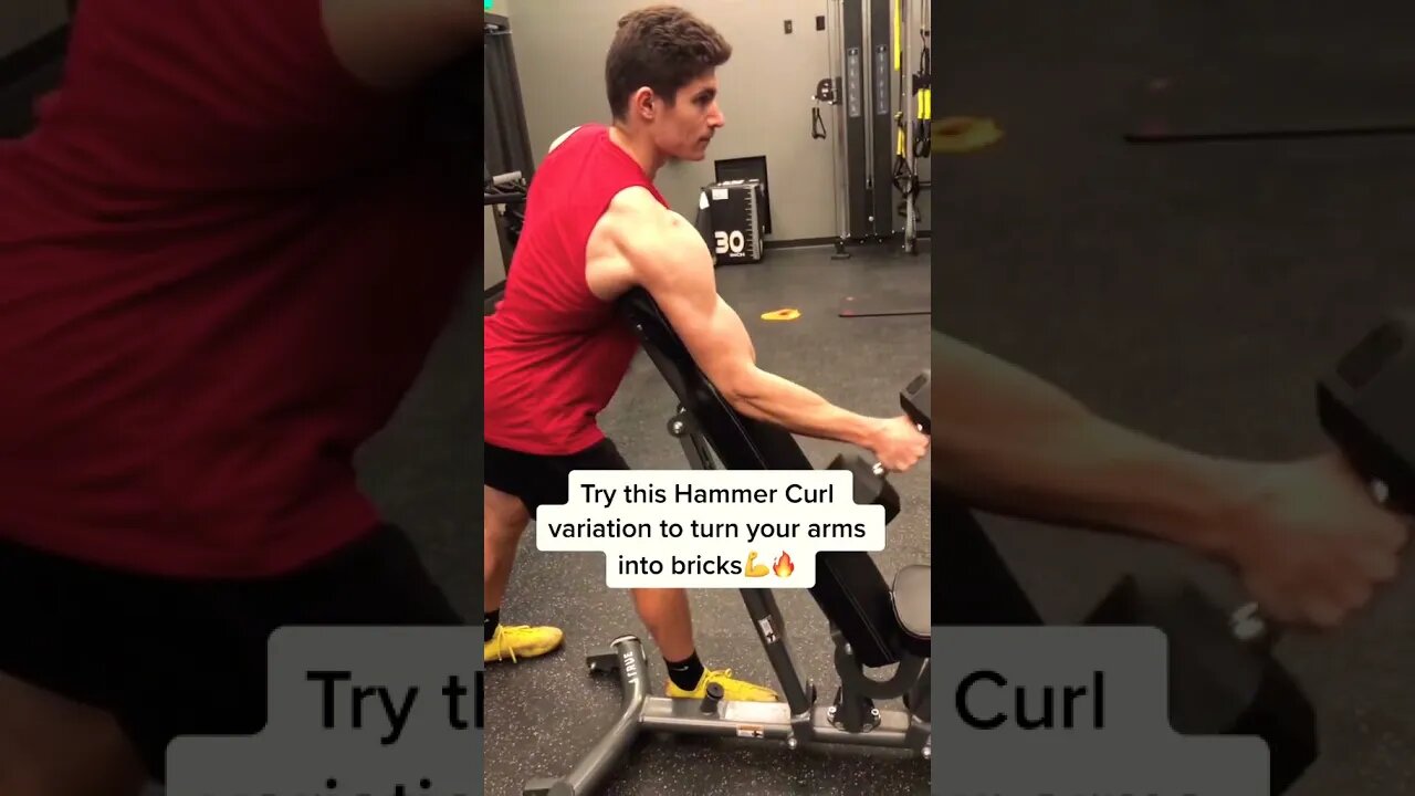 HAMMER CURL VARIATION 💪🔥 #Shorts #Calisthenics