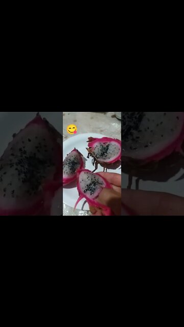Galo Come Pitaya Branca A Fruta do Dragão das minha plantação!!!!