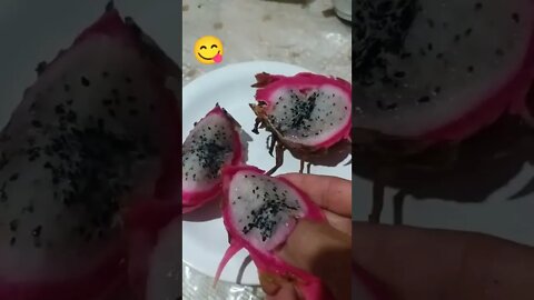 Galo Come Pitaya Branca A Fruta do Dragão das minha plantação!!!!