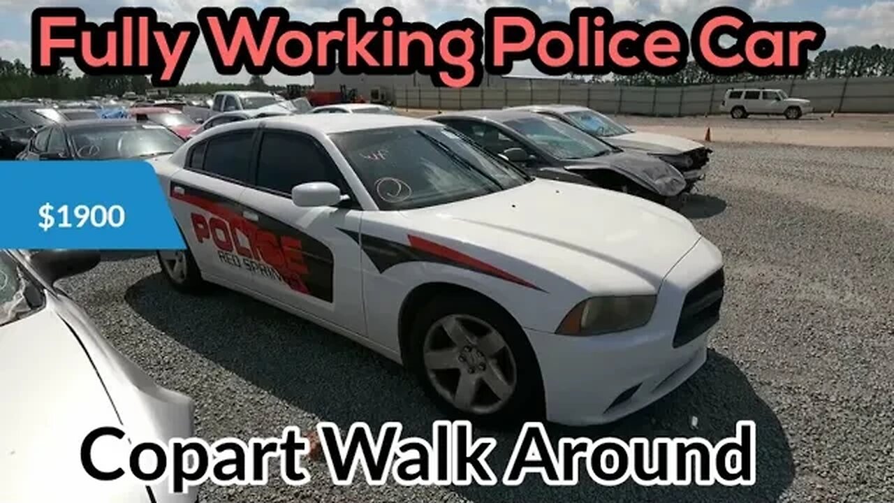 Copart Walk Around Charger Police Car, Slime Scat Pack Running, Classic Porsche