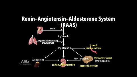 Renin-Angiotensin-Aldosterone (RAAS) System.