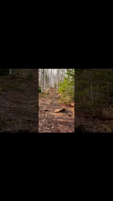 Steep incline while hiking 😅