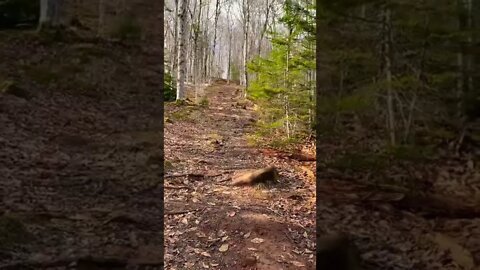 Steep incline while hiking 😅