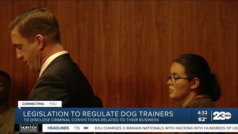 Legislation to regulate dog trainers