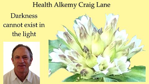 Craig Lane Health Alkemy - Road Signs of Life and Impeccability