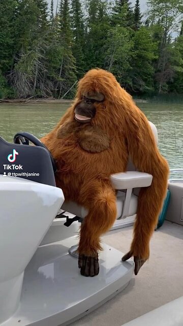 Thank you for watching