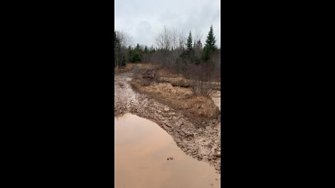 Atv’s in the mud