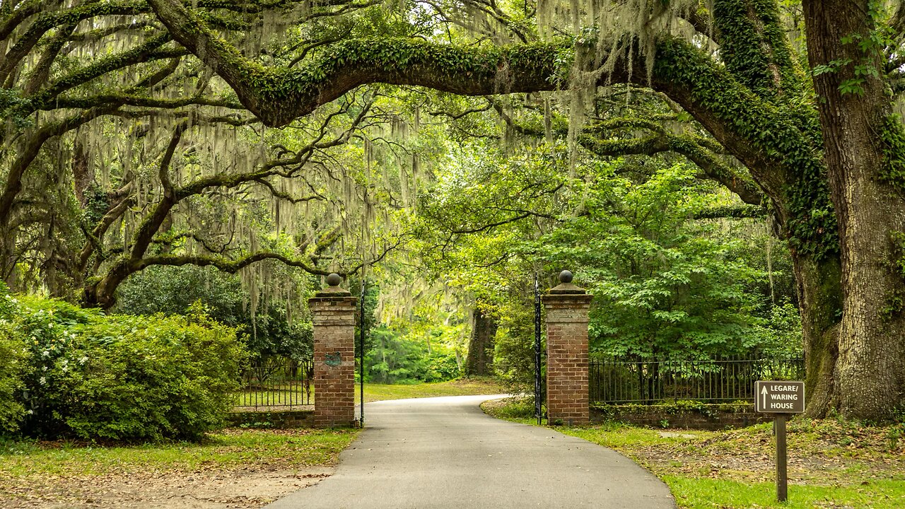 Charles Towne Landing State Park