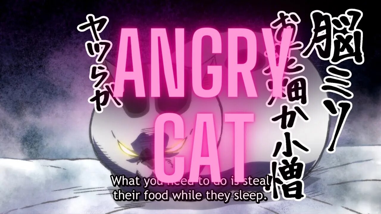 Inu to Neko Docchi mo Katteru to Mainichi Tanoshii episode 1 reaction