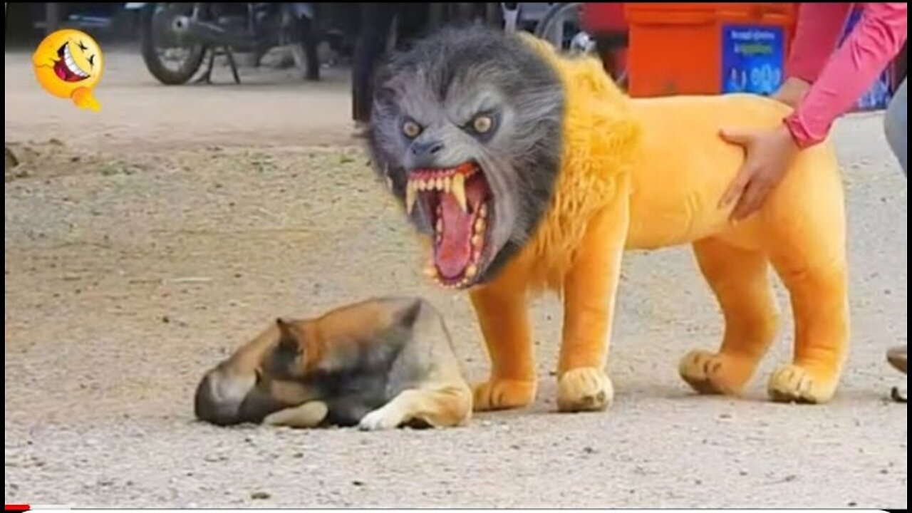 comedy funny video 😄😄😄😄😄😄