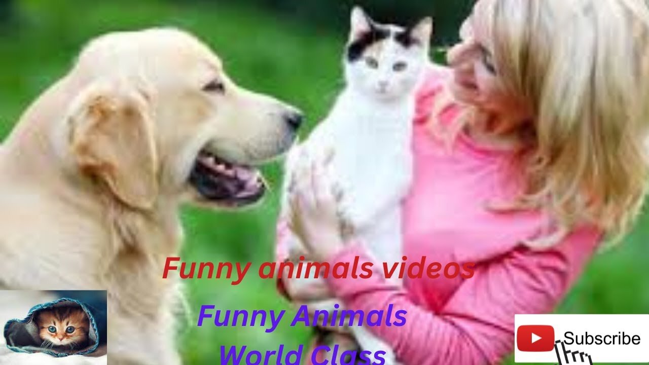 Funniest Animal Videos😂 - Funny Cats😹 and Crazy Dogs🐶 Videos 2023!