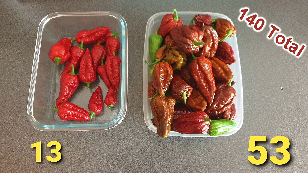 How Many Ghost Peppers did I harvest from 1 plant this year?