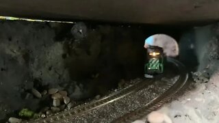 N Scale grain train passing through the tunnel
