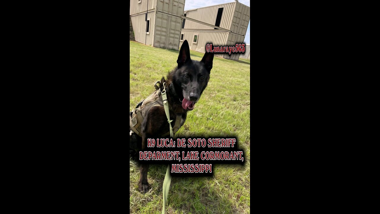 K9 Luca: DeSoto Sheriff's Department, MS