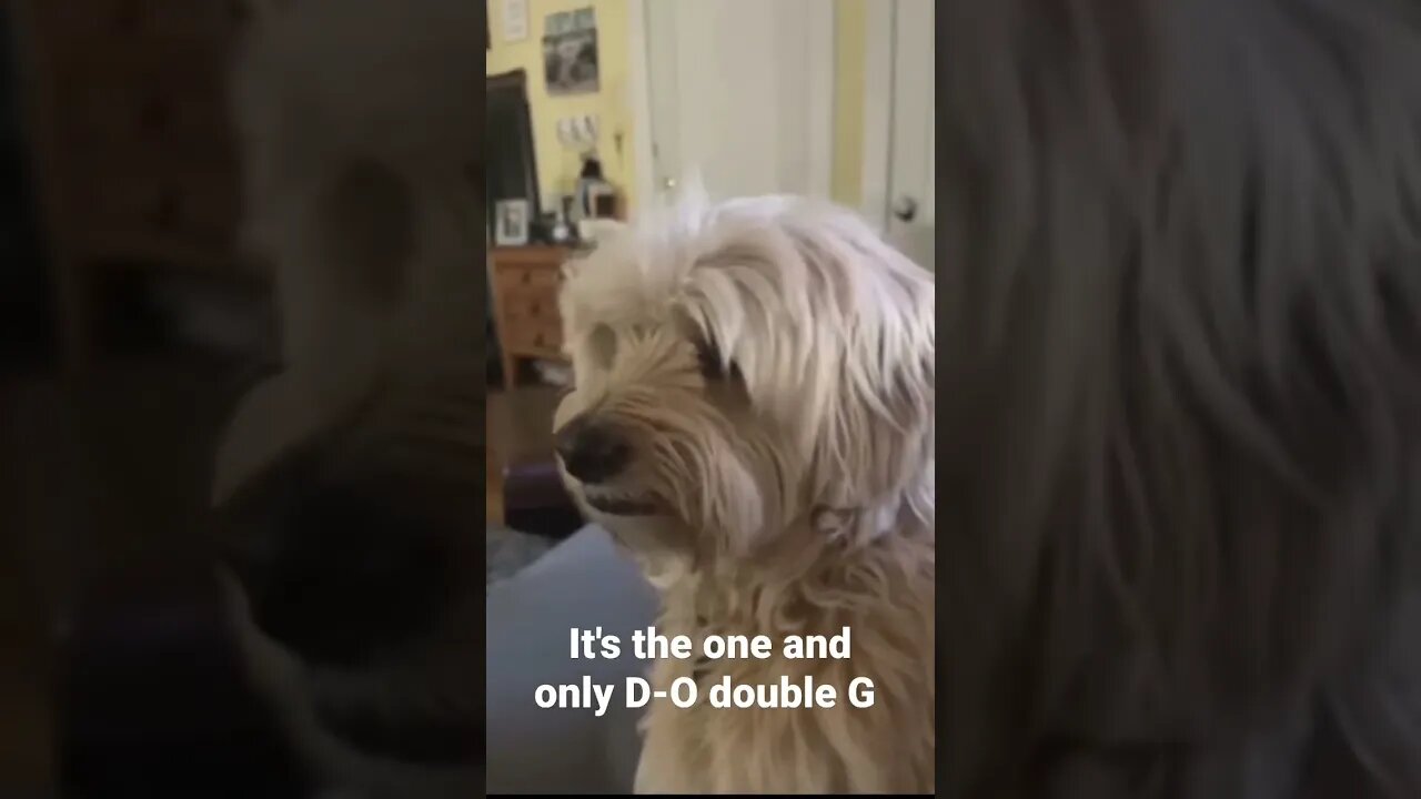 MEME is the one and only D-O double G #shorts