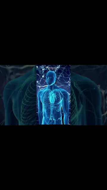 Brain Healing Sounds: "Ultimate Focus" & "Hack Memory"