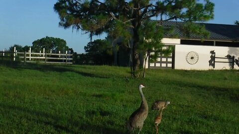 My HOA came for a visit today again