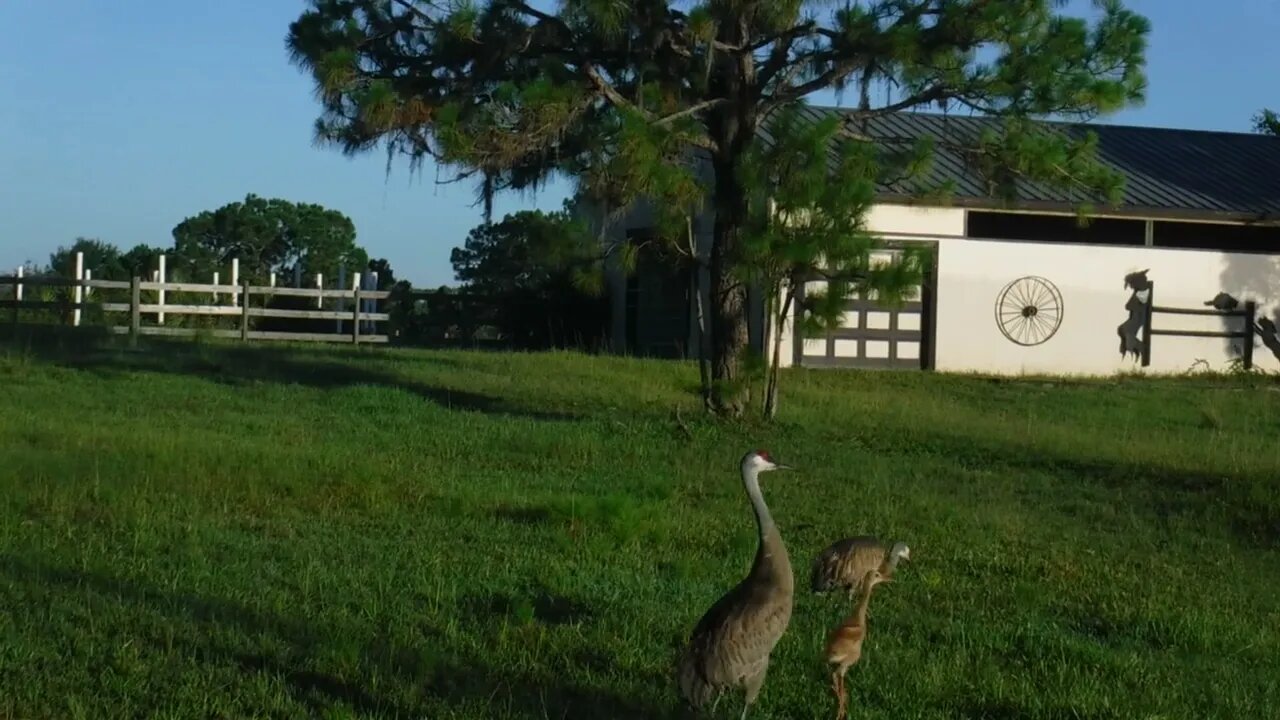 My HOA came for a visit today again