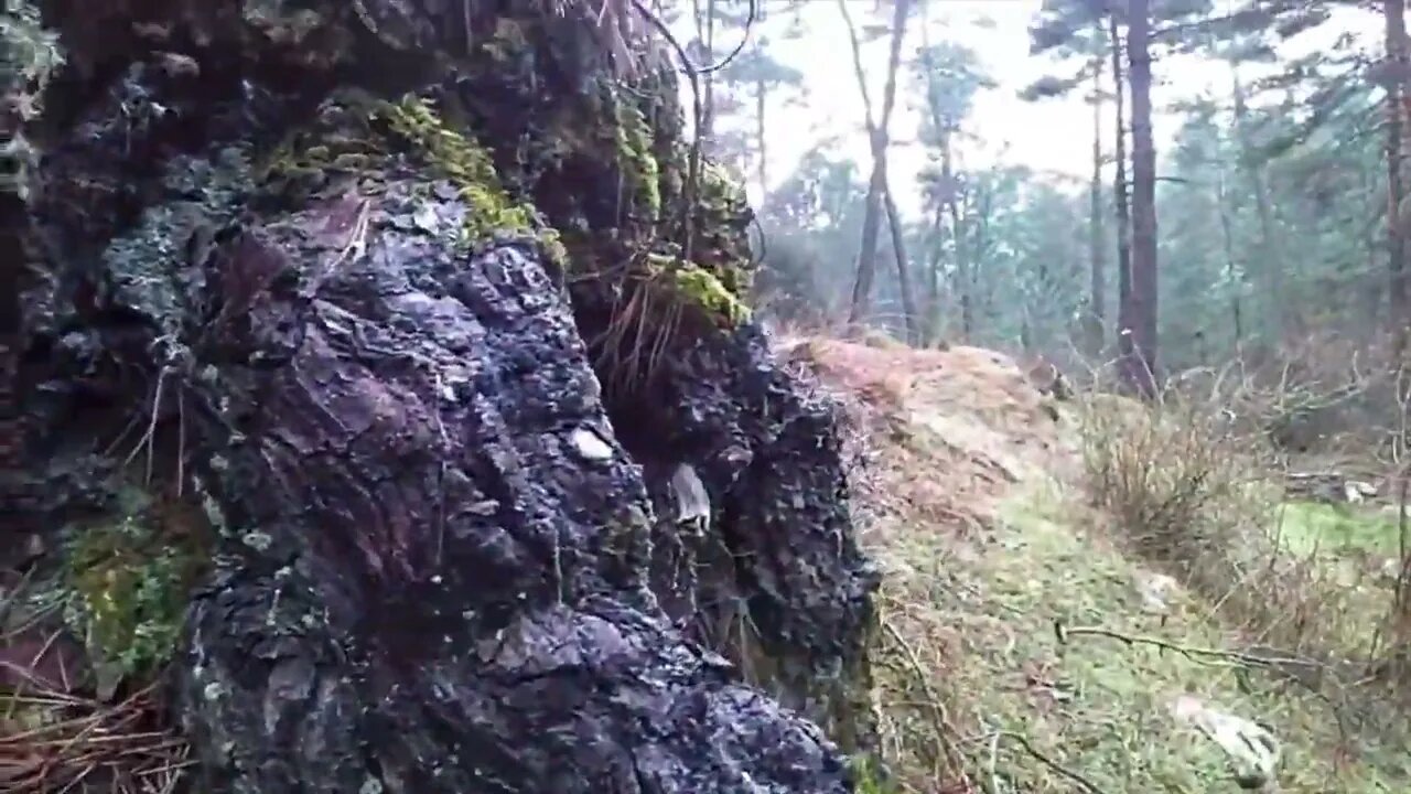 8 Scariest DUENDE Encounters Caught on Tape