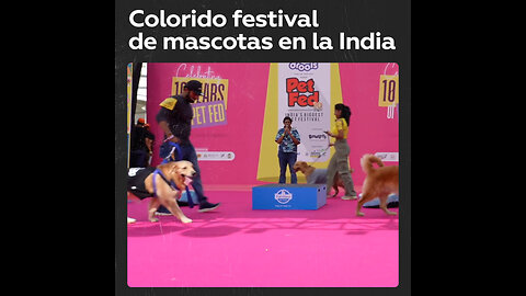 Cientos de personas asisten al festival de mascotas en la India